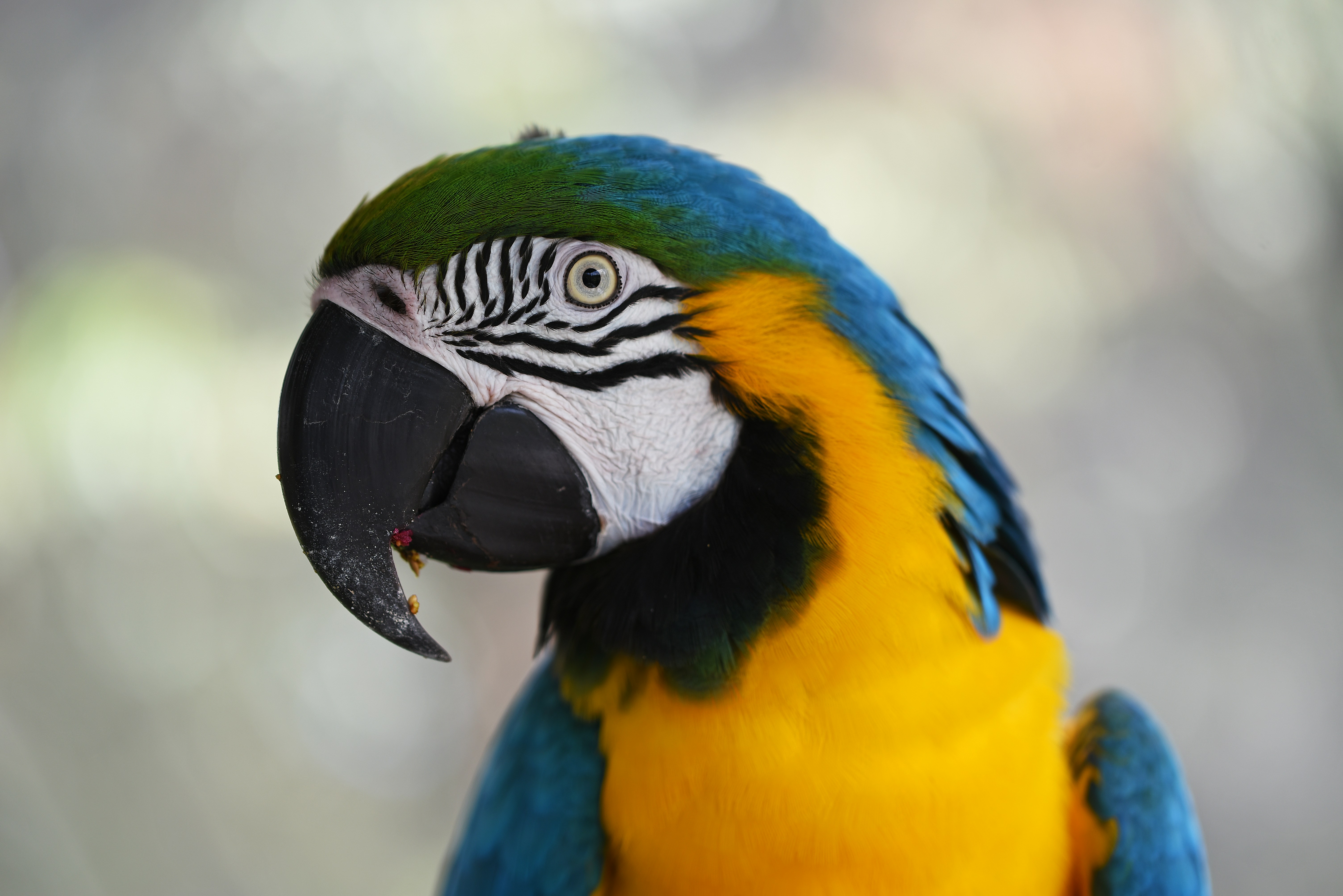 Case Study #2: ElevenLabs Voice Agent + n8n Orchestration